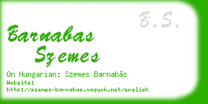barnabas szemes business card
