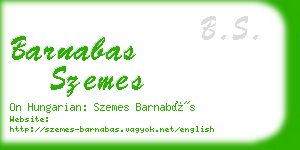 barnabas szemes business card